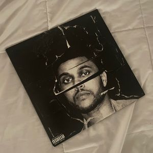 beauty behind the madness vinyl